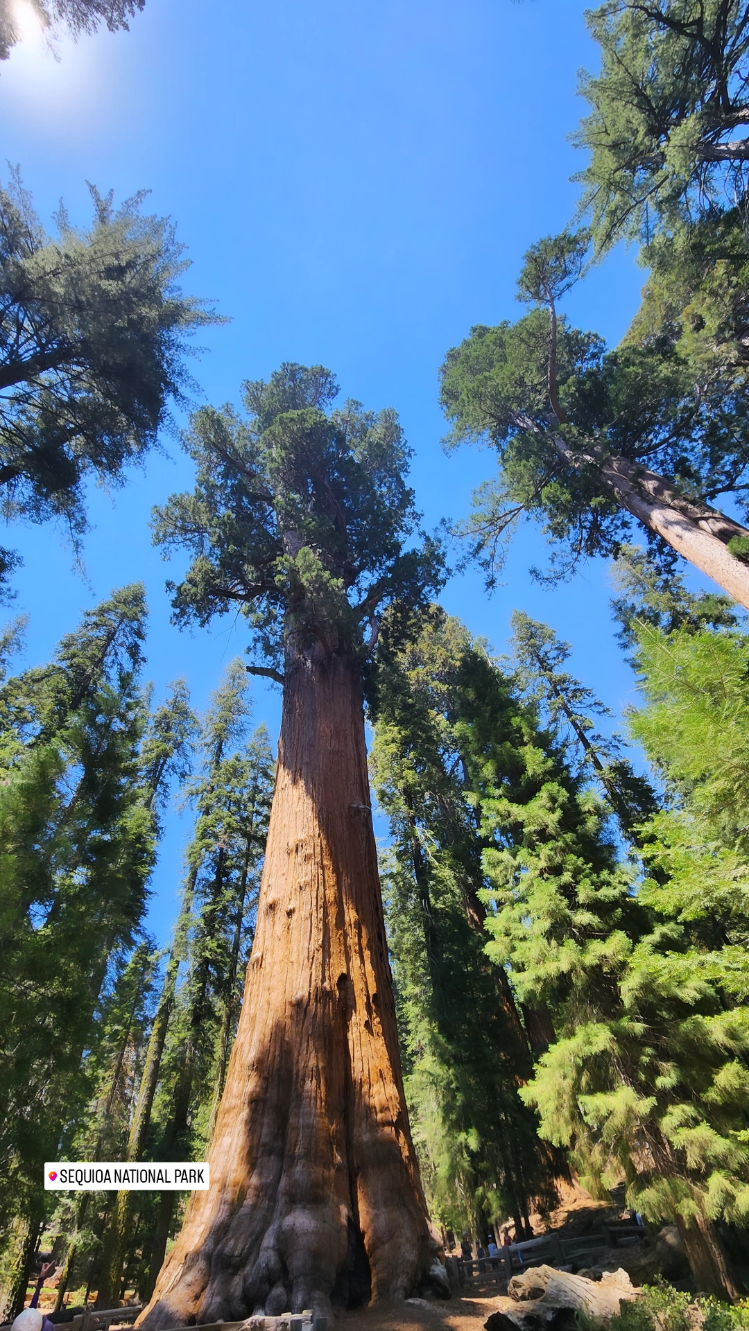 Sequoia National Park
